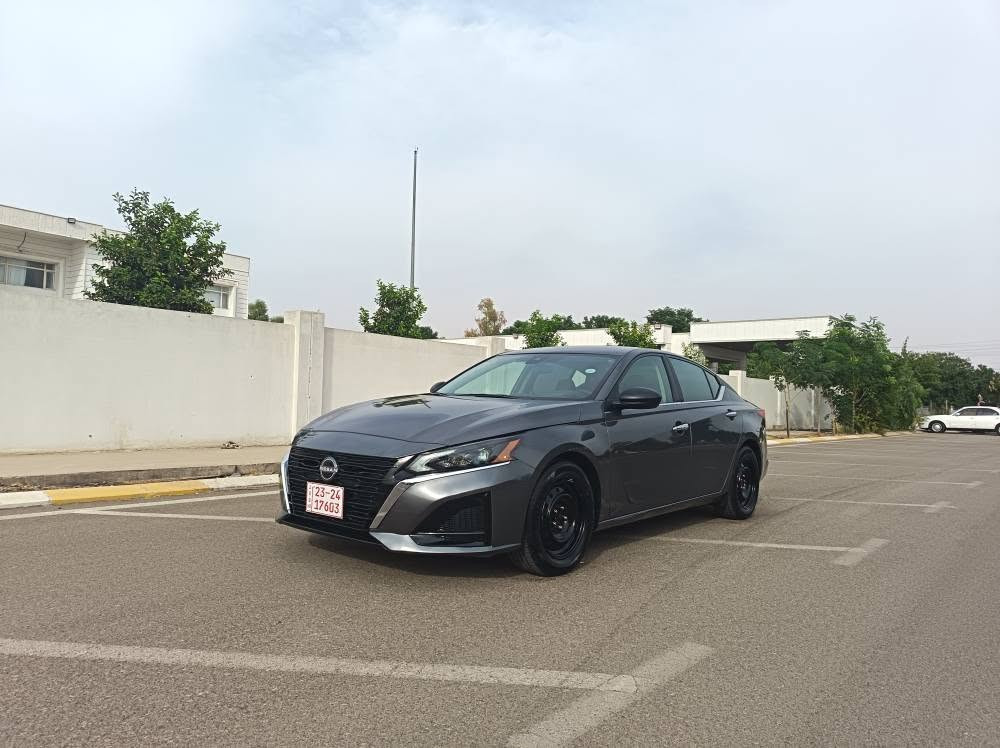 التيما S • ٢٠٢٥ • بدون صبغ