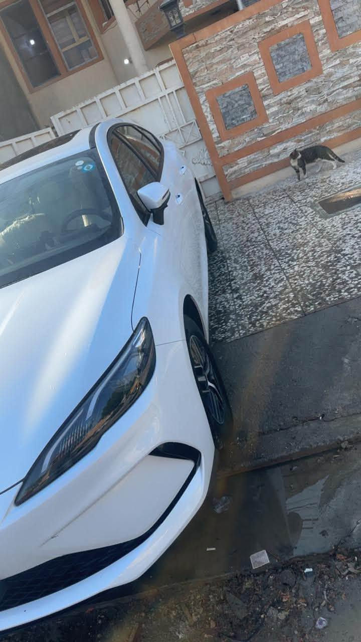 بي واي دي سيل • ٢٠٢٦ • ماشيه ٥٠٠٠