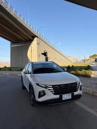 توكسون • ٢٠٢٣ • شوين سوران