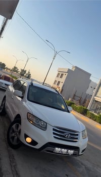 سنتافي • ٢٠١٢ • بدون صبغ