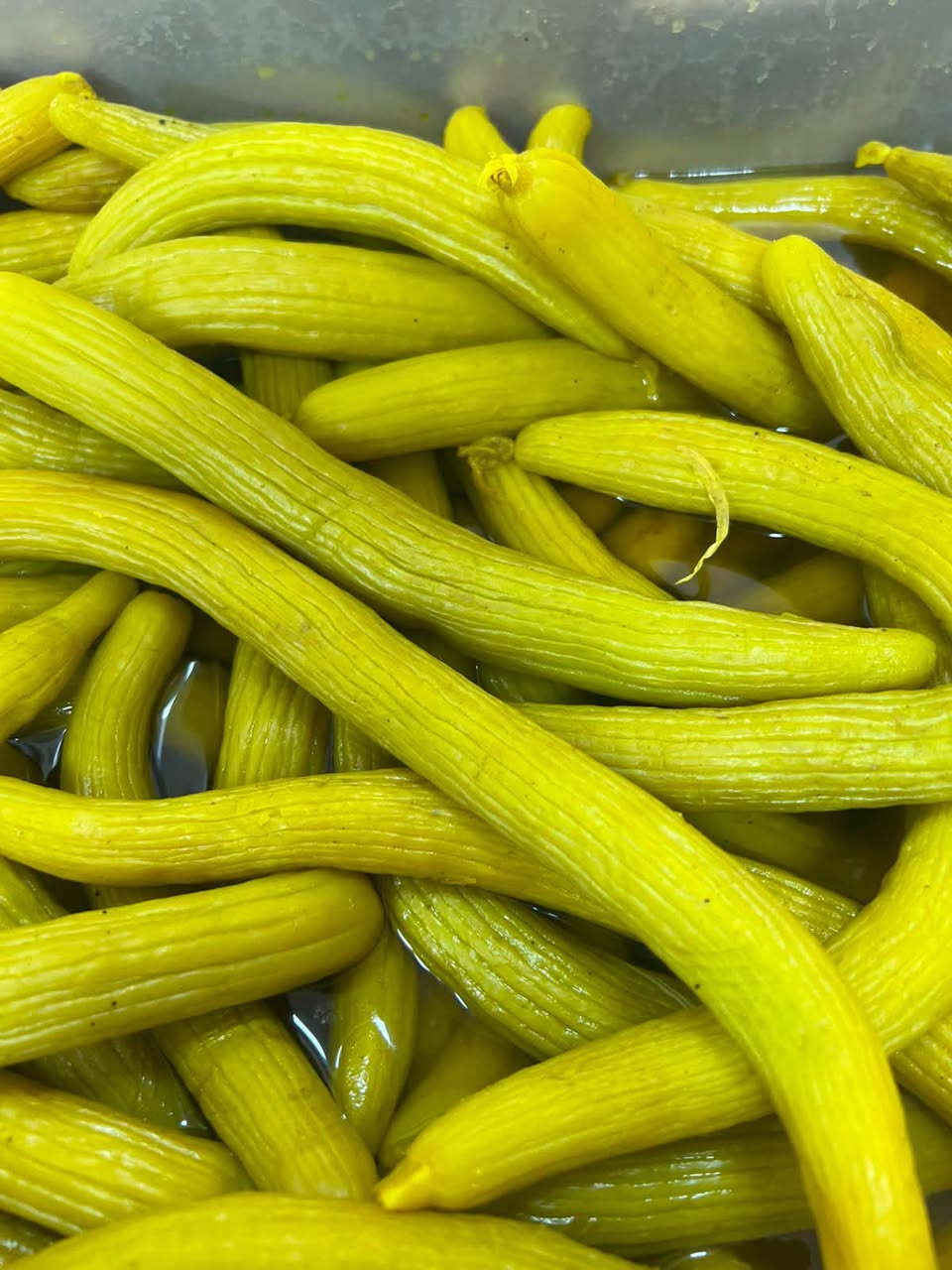 طرشي • طازج • شارع الخليج