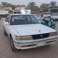 شيزر عظم • ١٩٩٢ • رقم واسط