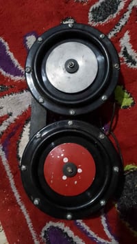 هورنات بوش • مؤسسة • واتساب