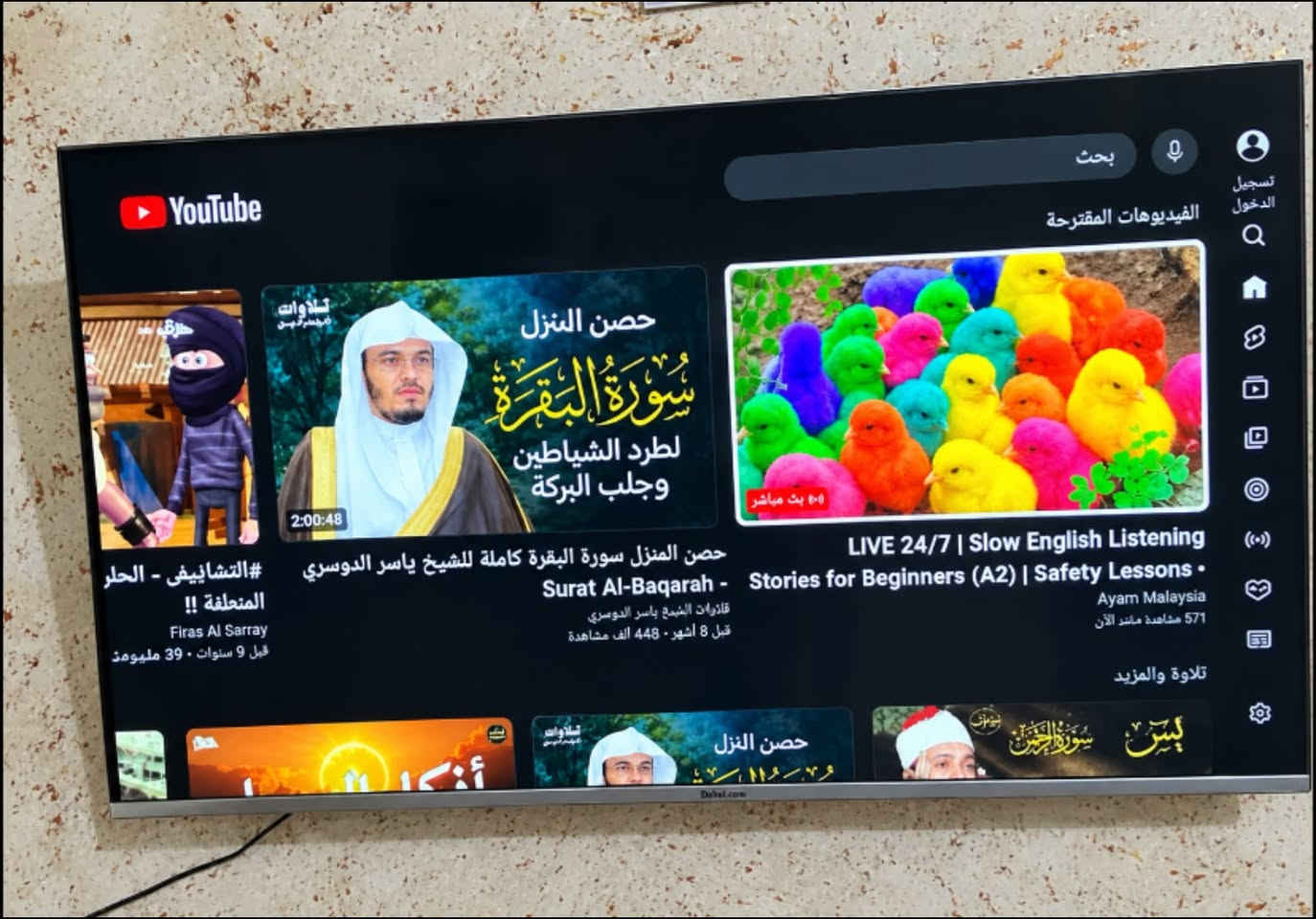 تلفزيون • مجال