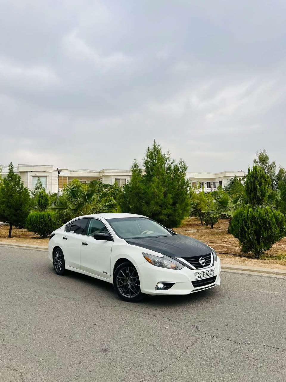 التيما S • ٢٠١٦ • أربيل