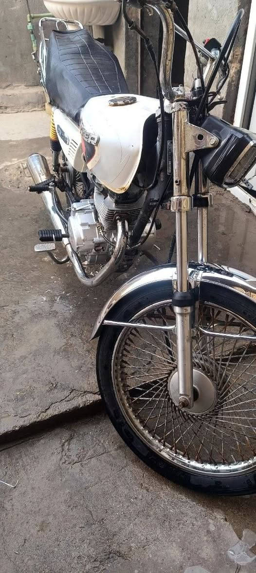 تايكر 21 • ٢٥٠ • اوراق كامله