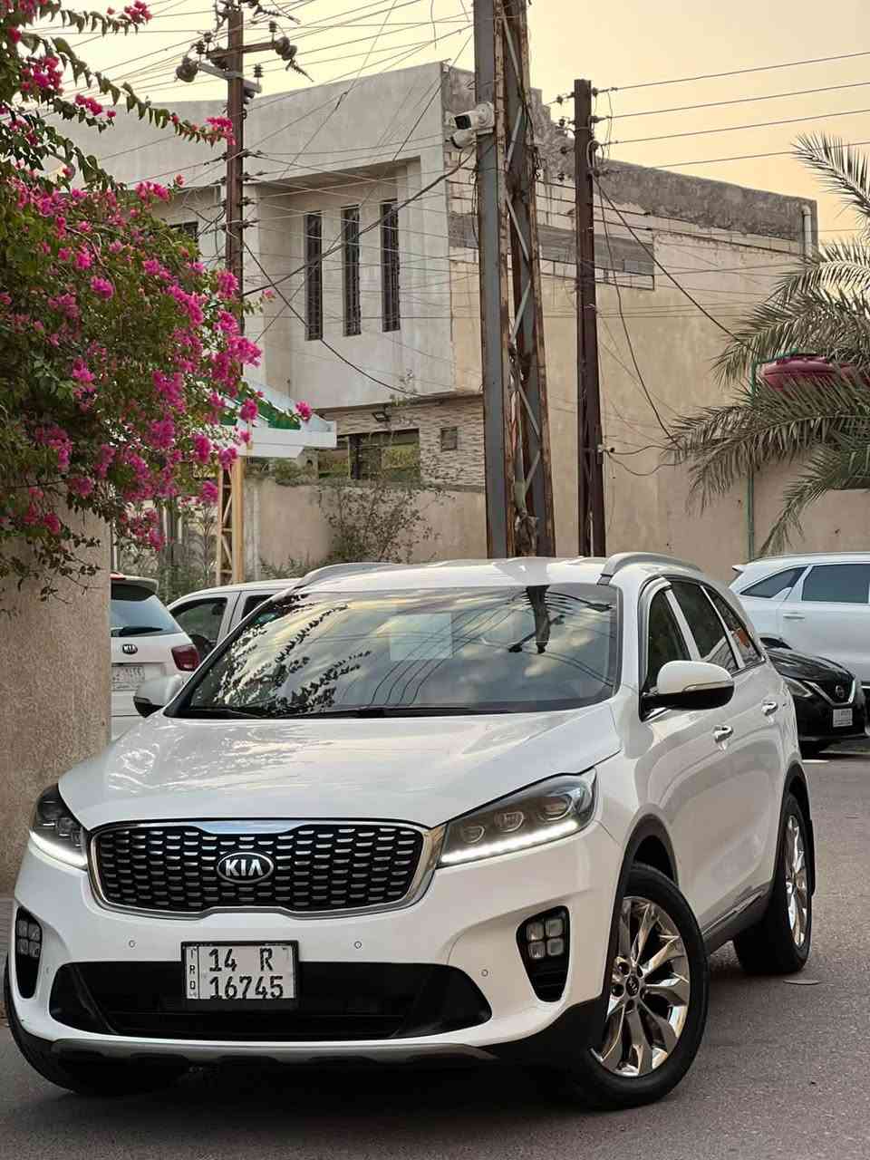 سورنتو 2019 شكل 20 رقم بصره جديد سنويته توه مجدده ماشيه 74 الف حقيقي شرط 6 سلندر GPS شاشه جبيره كشنات كهرباء باب خلفي كهرباء ويل كروم سبير مانازل مكفوله كفاله عامه كلها ع بلاد مكاني بصره حي المهندسين ***********
