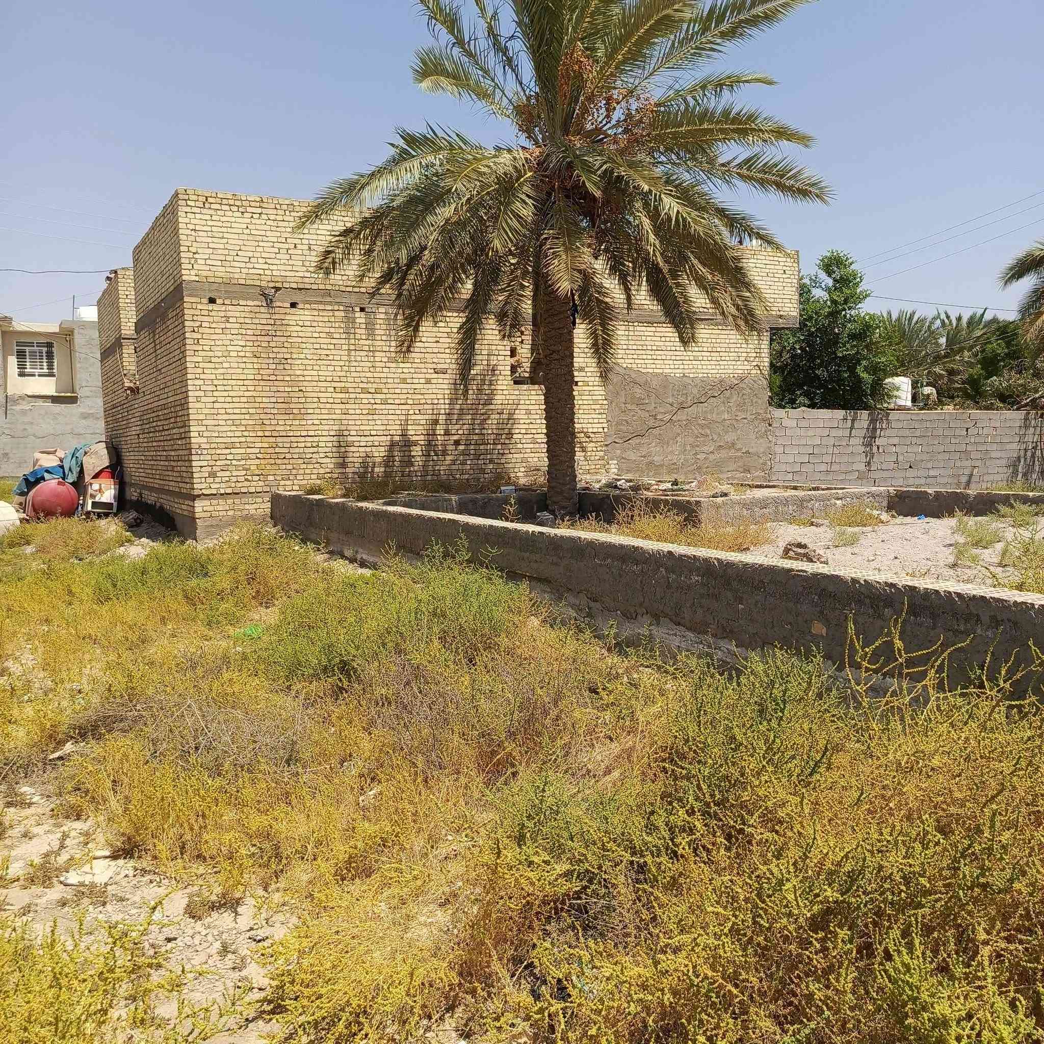 ١٠٠م • واجهة ٧ • طريق بغداد حي ناصر