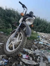 بوكسر • ٢٠٢٠ • اوراق كامله