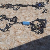 ضفيرة كورولا • عدد ٢ • واتساب