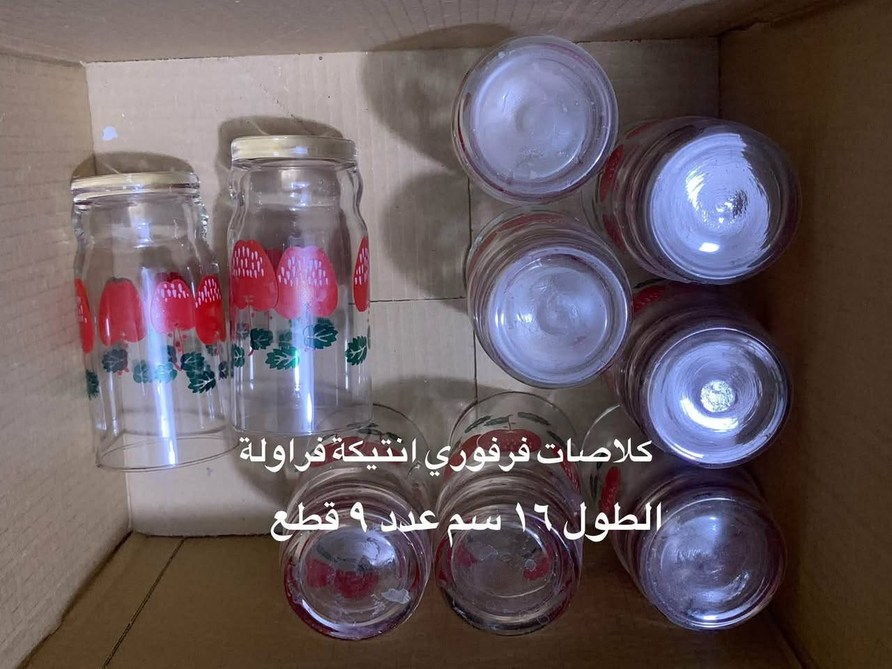 انتيكات • بايركس • حي الجامعة