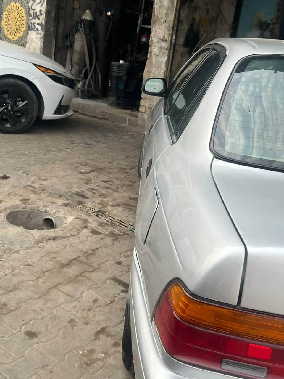 ١٩٩٧ • صبغ جماليه • راعي موجود