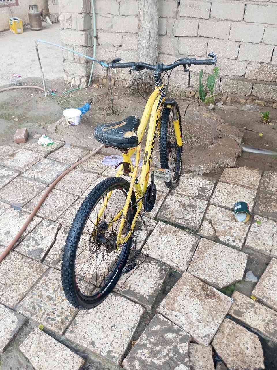 باسكل • نجف الحيدريه • بيه مجال
