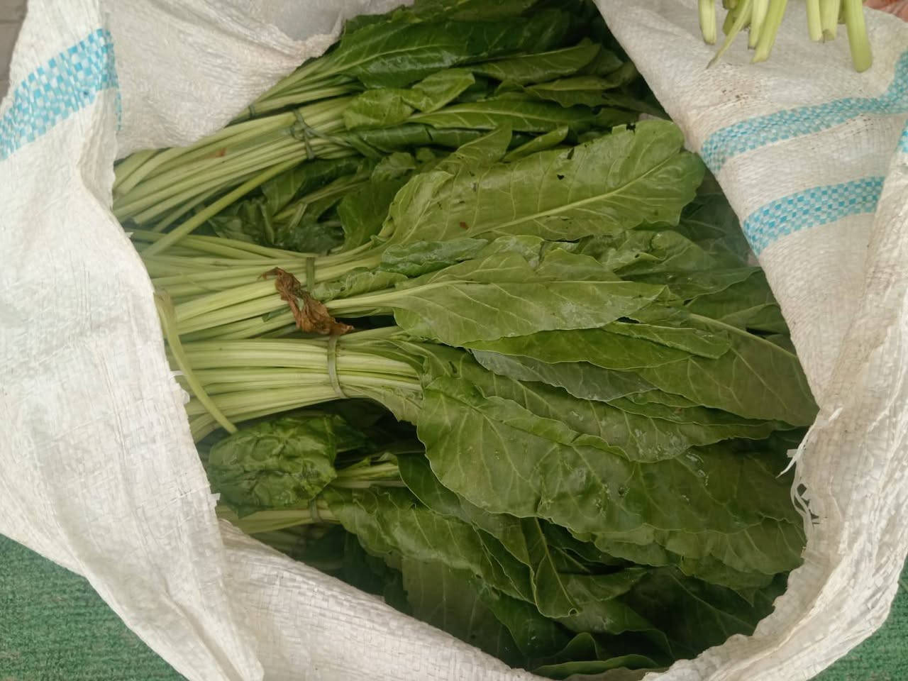 خضرة طازجة • فواكه منوّعة • شارع 20