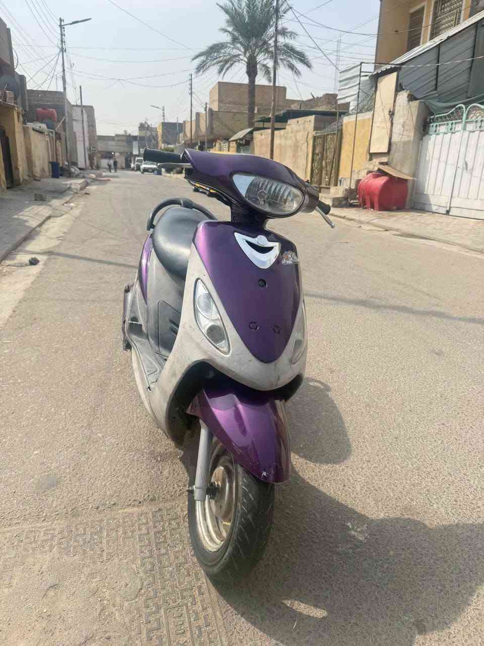 ماكس منغولي • بنفسجي • سلف