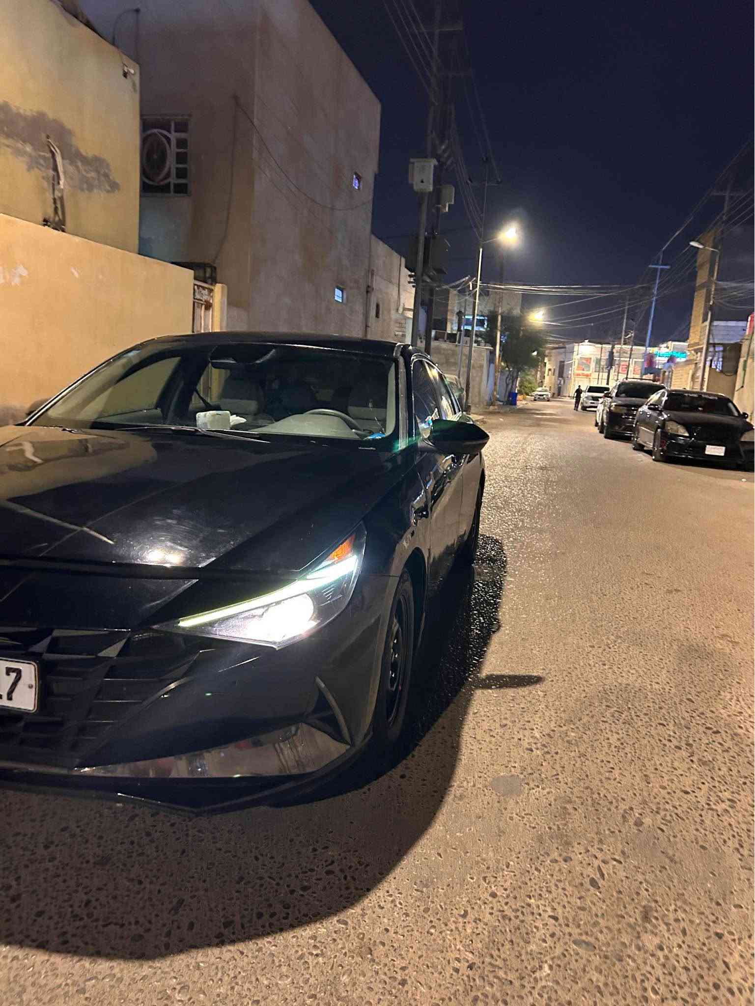 النترا ٢٠٢٣ • وارد امريكي • صبغ