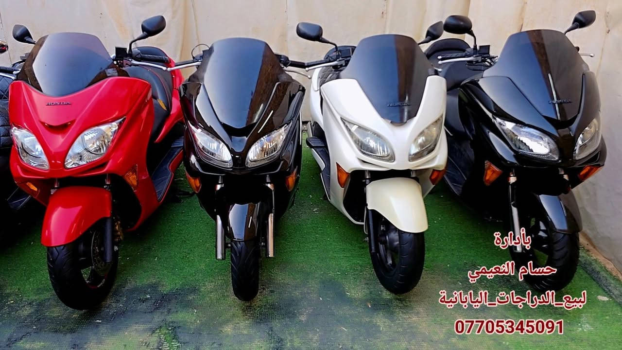 وصول وجبة دراجات جديدة شرط ابيع رمبة
نظافة وجدادة 💯/ 💯 طك كارتون بعدهن بحالة وكالة #دراجات_رمبة_غير_مستعمل 
أخوكم حسام النعيمي ***********
العنوان/بغداد/شارع الكفاح/سوق الدراجات/خلف مشويات موسى 
#البيع_بالنقد_والتقسيط_المريح #يوجد_توصيل_جميع_المحافظات
