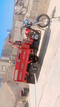 ستوته • موديل ٢٠٢١ • اوراق كامله