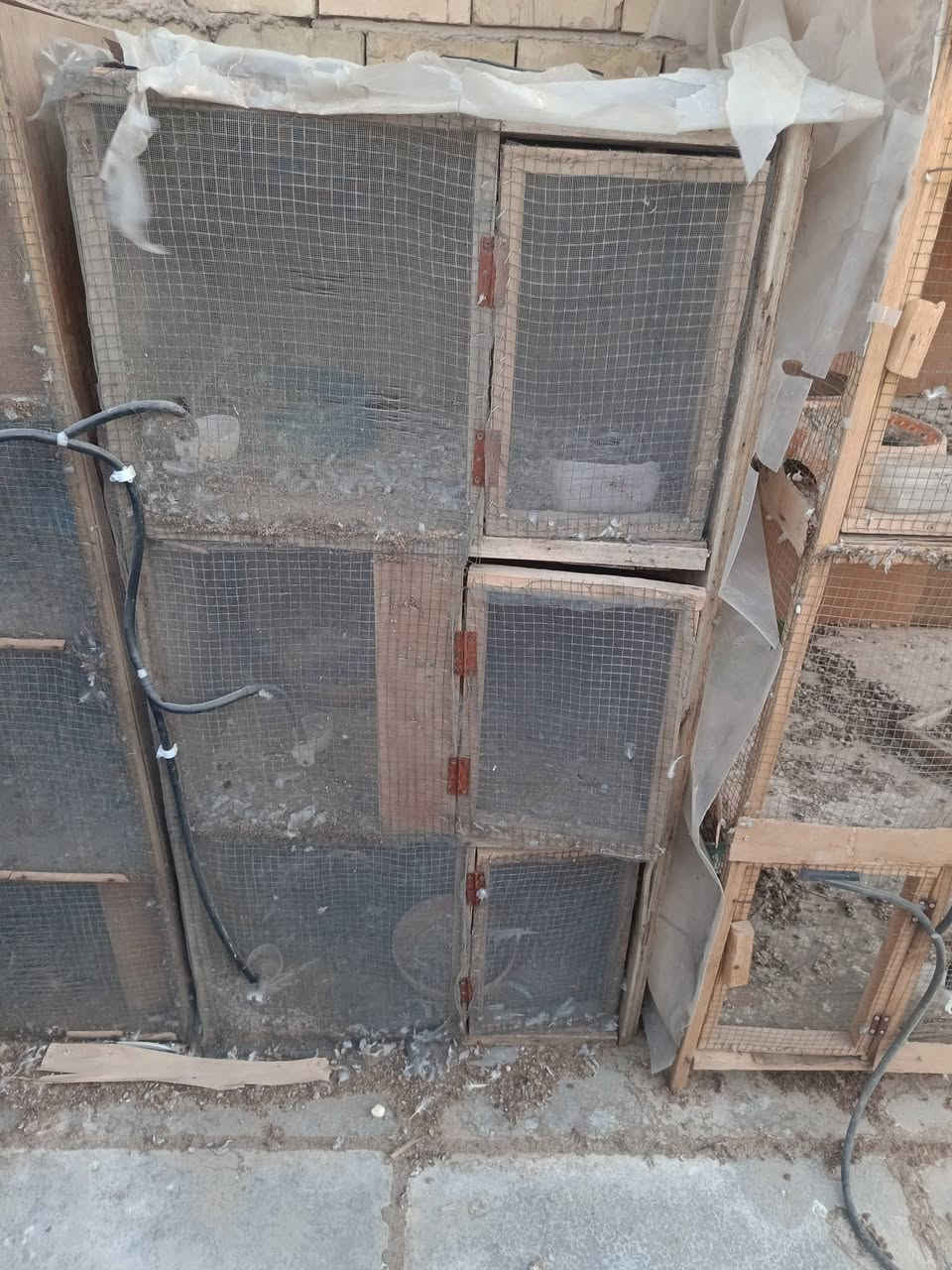 سلام عليكم خانات للبيع قيم وخذ  بغداد الدوره ابو دشير بس واساب‏‪***********‬‏
