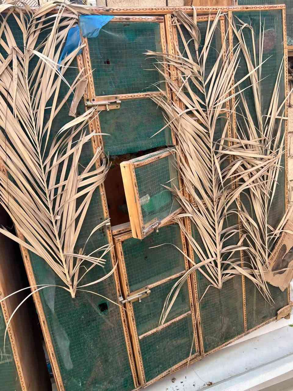اقفاص او (محميات) للبيع بيهن راصطات اذا تريد ادكهن بالحايط او تبقيهن بالكاع عادي كلش نضيفات مكاني بصره
***********
