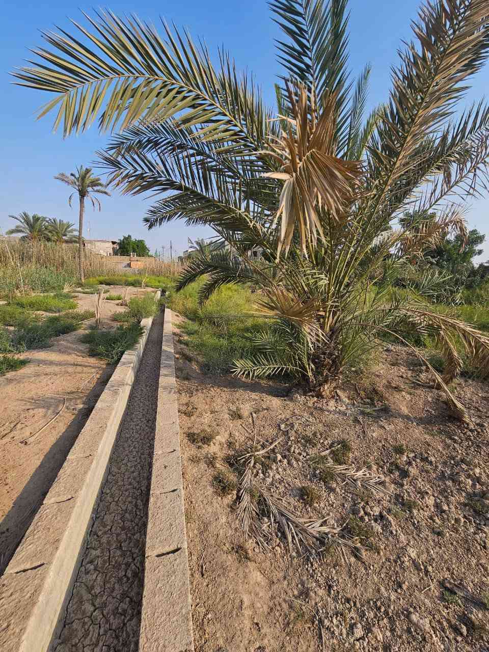 دونم • طابو صرف • ابوالخصيب