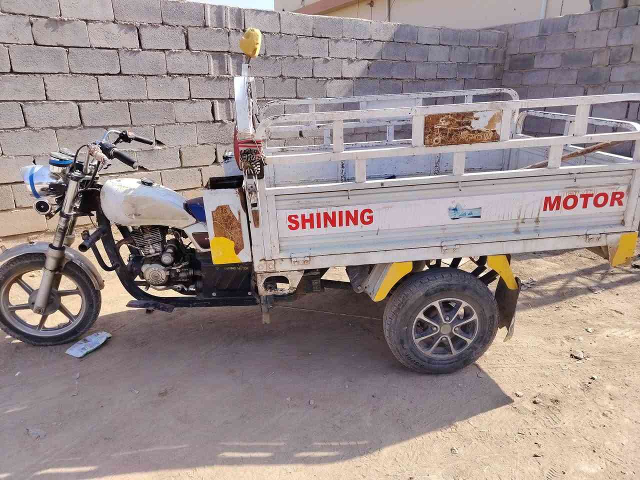 ستوته • ام الطير • 2020