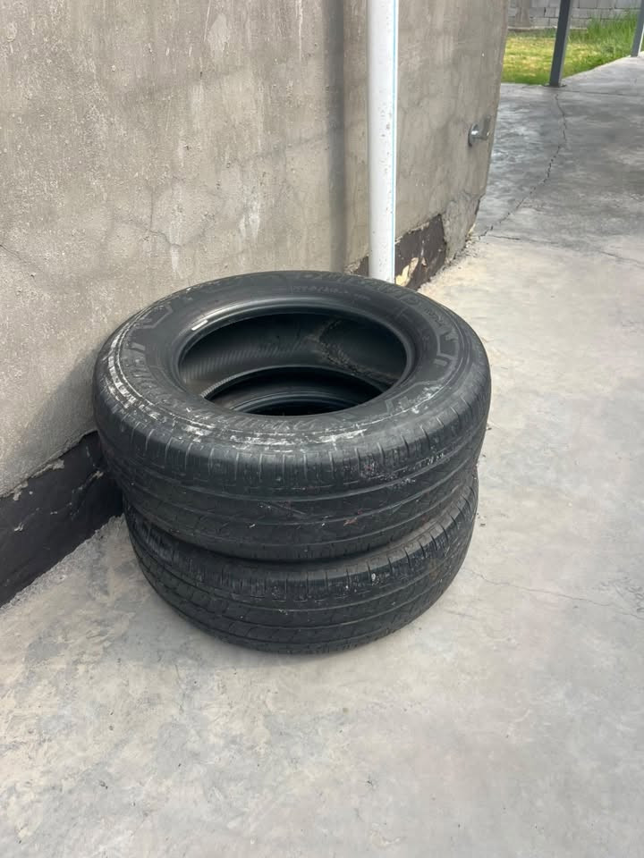 ٢٣٥/٦٥/١٦ • أم البوز • نص عمر