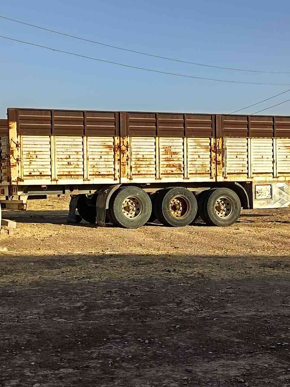 هعربانه البيع فصال تركيه شاصي اوربي تايات 11ونص رفيع اربع ازواج جديدد الثالث رفاع طول 13//و60// ***********//***********|| مكلف بلنشر @
