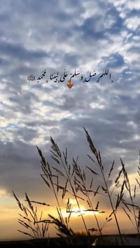 بيت لبيع بغداد البلديات فرع لحوم البركه السماحه 150 بناء حديث رقم الها...