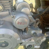 ستوته • اوراق • محرك ٢٤