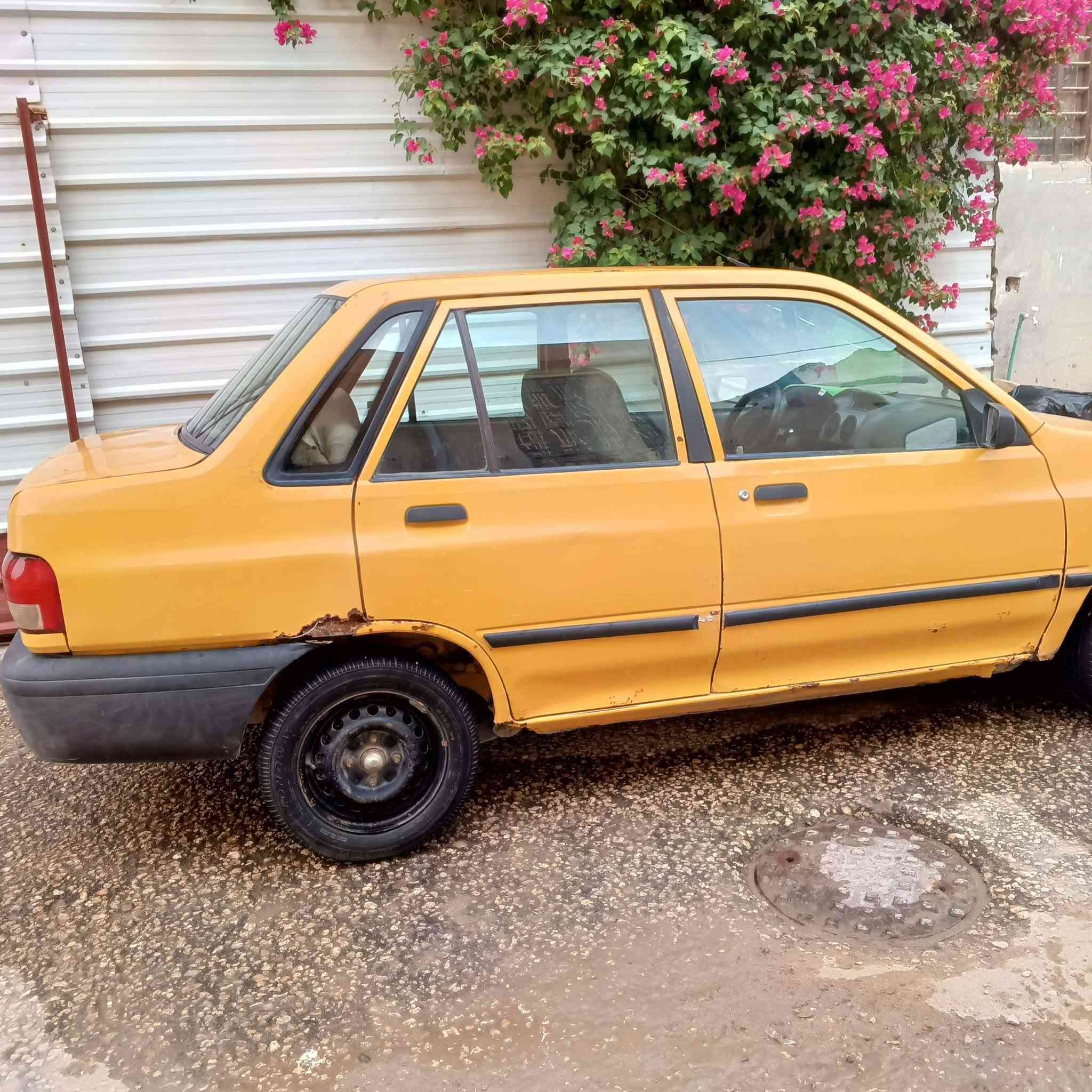 ٢٠١٢ • سنوية ساقطة • كربلاء