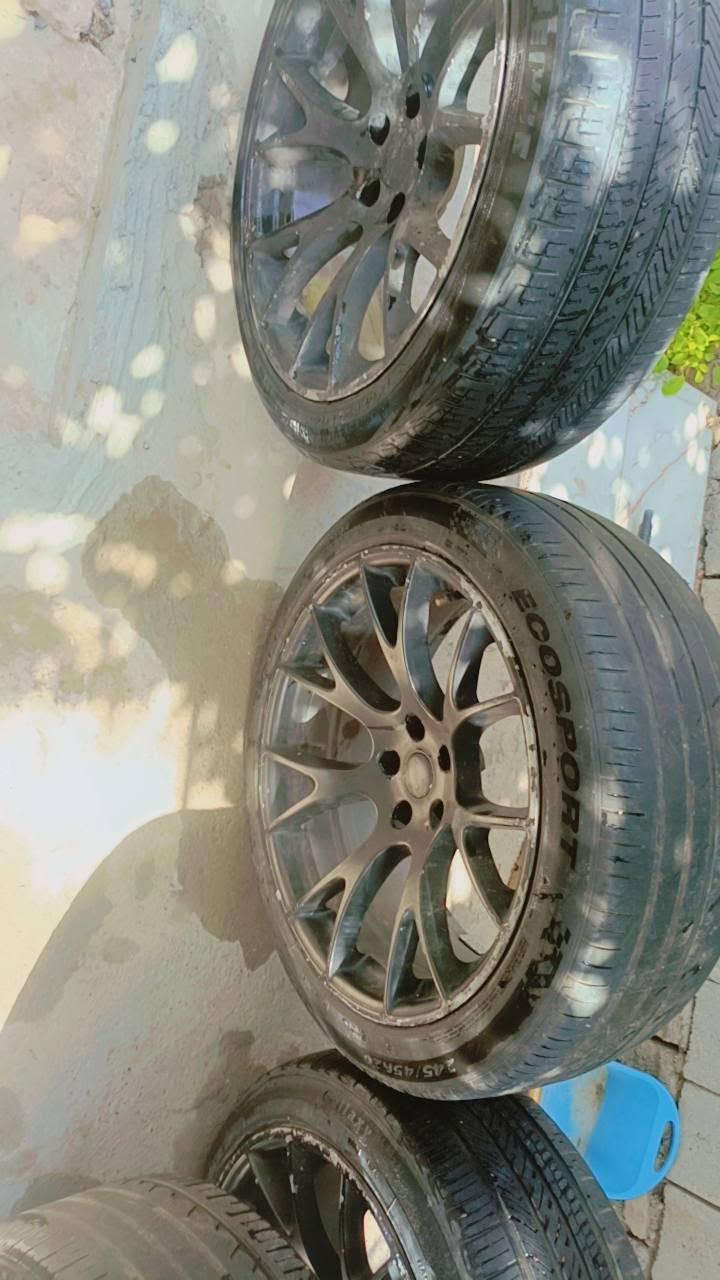 ويل عنكبوت 20البيع السعر 300الف بيه واحد فطر كامل وحاساس بيه‏‪***********‬‏
