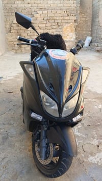 ماجسته • دبل رون • ماطور