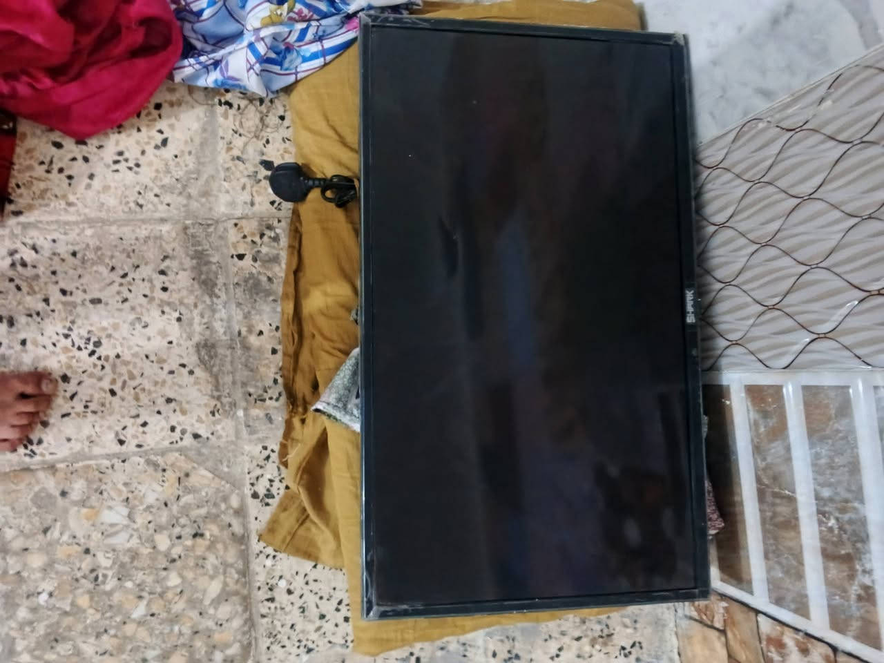 السلام عليكم / ثلاجه 10 قدم جديده استخدام اقل الشهر 
سعرها 200 وبيها مجال بسيط جداً 

مبرده حجم الفين جديده استخدام هذا الموسم بـ90 قفل

بلازمه حجم 32 نضيفه ام الانترنيت بـ80 قفل 

الميعجبه السعر يعبر المنشور مكاني الشعب 
***********
