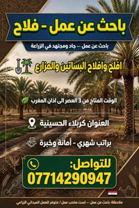 باحث عن عمل • فلاح • كربلاء الحسينية