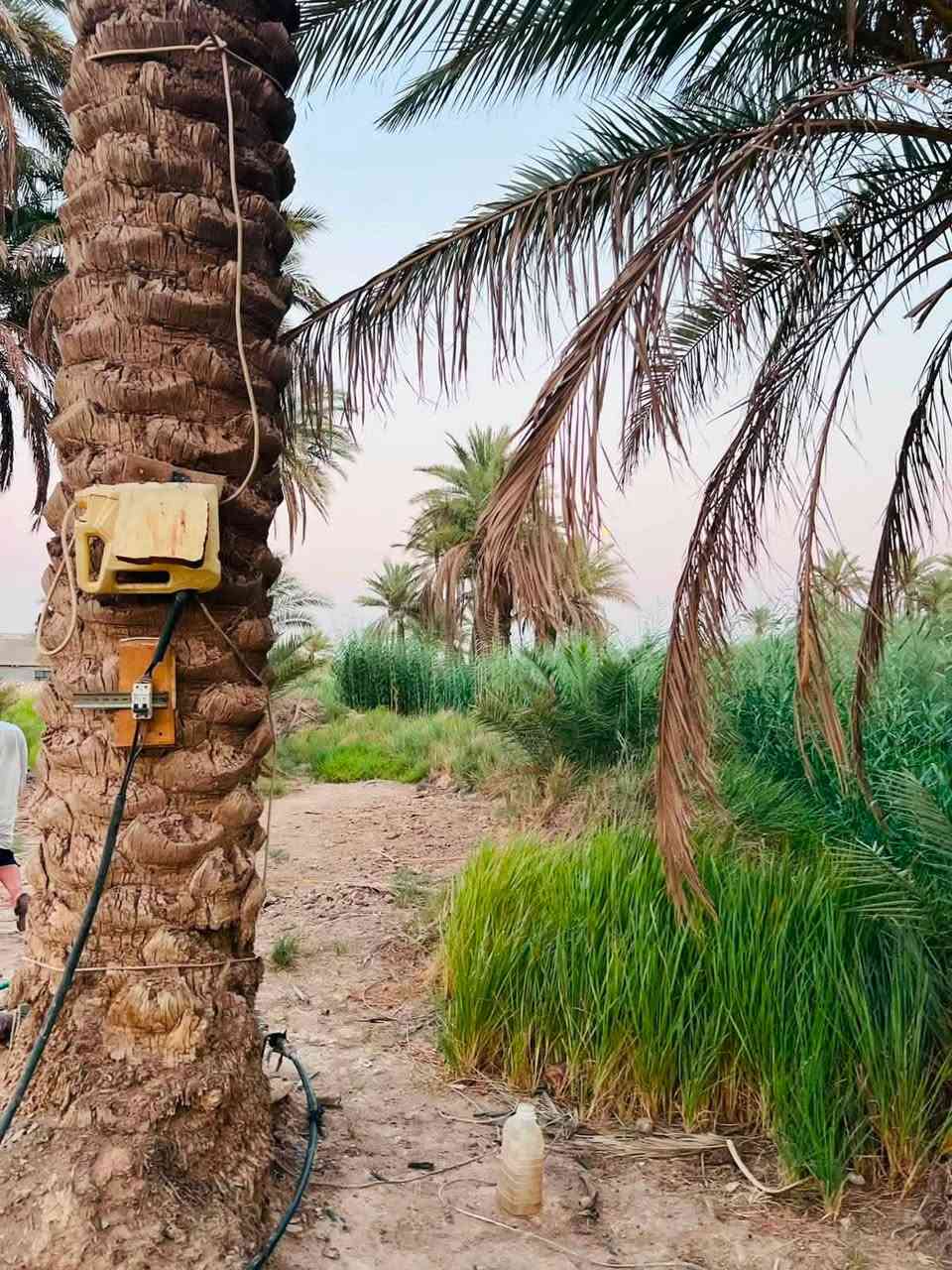 السلام عليكم 
عرض مايتفوت السعر بلاش البلاش
ارض دونمين معه بيت نضيف جاهز لسكن
كافه الخدمات متوفره وبيهه نخيل انواع مشكل
ماء اساله ونهر بضهر الارض
كهرباء بصفهه
تبليط ابابهه عرضه 10 متر
جاهزة لسكن ولزراعه
العنوان الكفل ام نعجه تبعد عن جسر الكفل كيلوين
او طريق نجف كربلا عمود 256
استفسار اكثر 
***********
