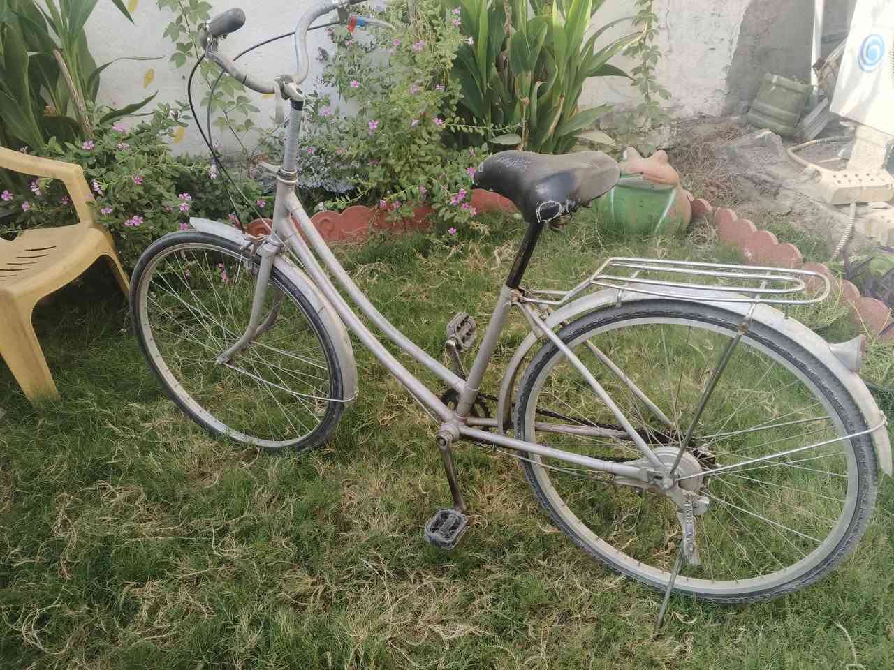 باسكل بناتي • حجم ٢٦ • ياباني