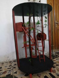 قفص طيور • جديد • بصرة حيانية
