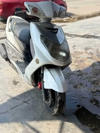 سكنس فحل • دشبول محترك • كفاله عامه
