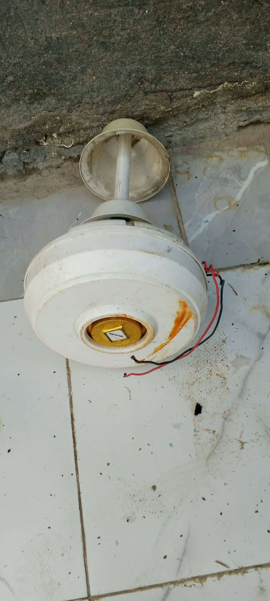 للبيع كلهن اب ٧٥ الف
بابل منطقةعنانه 
***********
