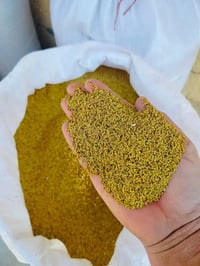 بذور جت • إنبات قوي • نوعية ممتازة