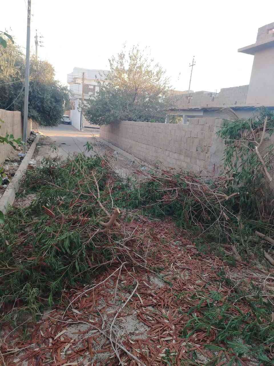 حطب ناعم بلاش ليريد يجي بحي الجمعيه
***********
