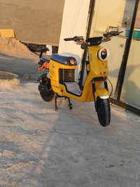 باسكيل • ار ٩ • حلة بالنيل