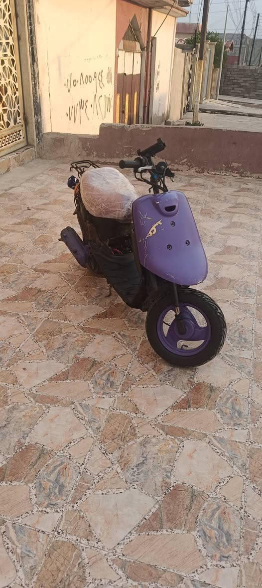 بوتين • مطور • شاصي ملحوم
