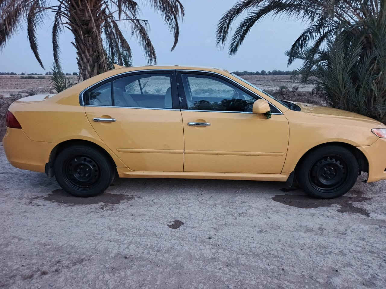اوبتيما ٢٠٠٩ • رقم انكليزي • رقم بابل
