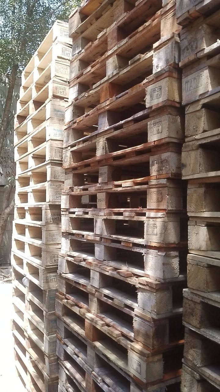 اسكيب جديد ثقيل العدد 250 / العنوان الدوره / قياس 120/100 /  ***********
