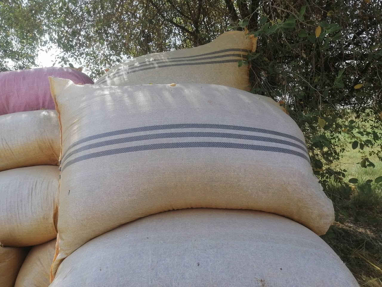 السلام عليكم ورحمة الله وبركاته
يوجد تبن برسيم مجروش و معبى ب أكياس كبيرة (شليف)
سعر الكيس (الشليف) ب ٥ آلاف دينار
العدد ٤٠ كيس (شليف)
العنوان بغداد اللطيفية ك١٤ القامشلي
للاستفسار أكثر الاتصال على صاحب البضاعة على الرقم أدناه (على الخط) لا يوجد واتساب 
***********

مكلف بالنشر لا ارد على التعليقات أو الخاص كوني مكلف بالنشر
