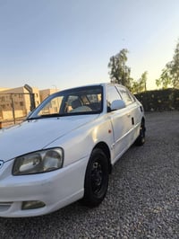 فيرنا • ٢٠١٢ • نجف