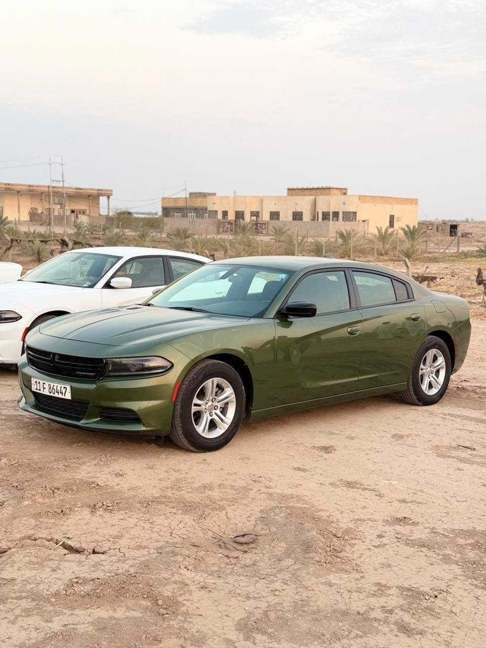 للبيع جارجر 2023اصل كفاله عامه تقرير مياه أمطار شغاله شاشه وعينه من امريكا رقم بغداد باسمي ماشي 50الف فقط
2C3CDXBG2PH701539رقم الشاصي 
ملاحظه بيع فقط 🤝 
***********رقم الهاتف 
مكاني الناصريه 📍
للبيع جارجر 2023اصل كفاله عامه تقرير مياه أمطار شغاله شاشه وعينه من امريكا رقم بغداد باسمي ماشي 50الف فقط

