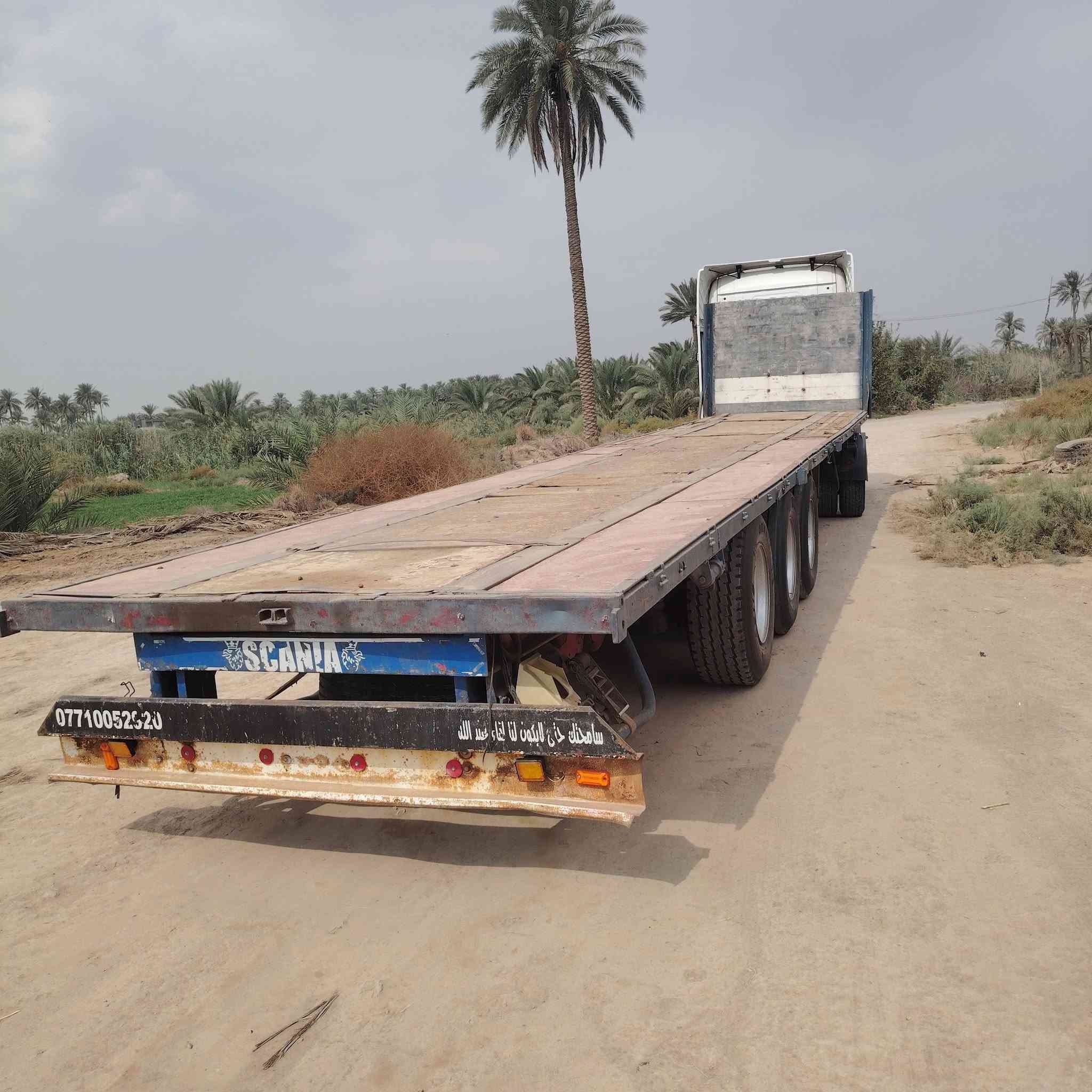 سكانية • ٢٠٠٨ • واقع حال